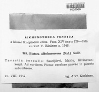 Media resource of Biatora albofuscescens